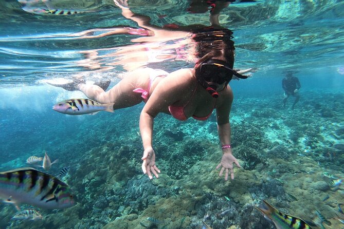 Nusa Penida Full Trip – Snorkeling & Land Tour - Inclusions and Exclusions