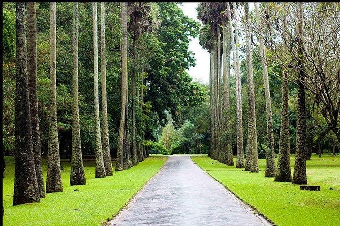 Nuwara Eliya & Kandy | 2 Days Tour - Pricing and Reservation Information