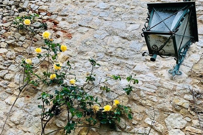 Obidos Private Tour | Nazareth | São Martinho Do Porto - Booking Details