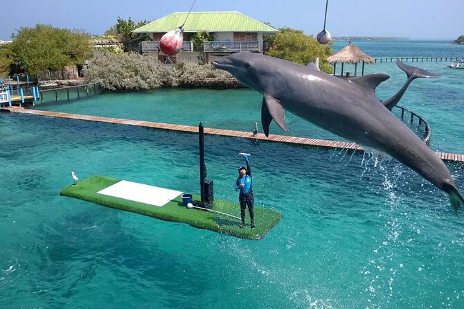 Oceanarium Tour With Quiet Beach And Plankton - Price and Booking Information