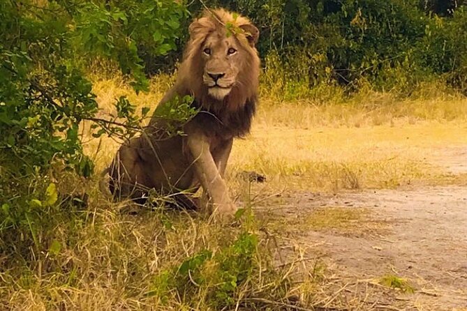 One Day Akagera National Park Safari From Kigali - What to Bring