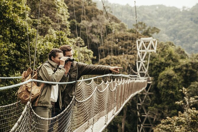 One Day Canopy Private Walk Adventure - Bottled Water Included