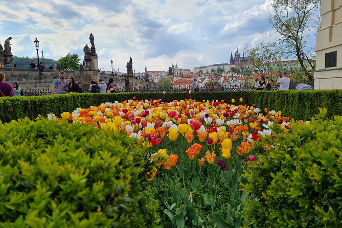 One-Day Private Guided Sightseeing Prague Tour - Pricing and Booking