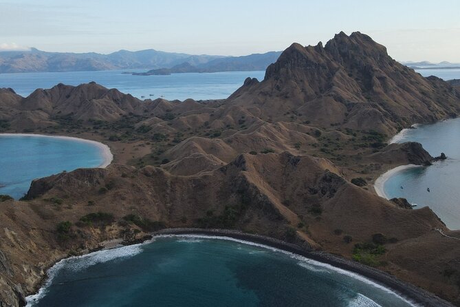 One Day Trip to Komodo National Park, Using a Luxury Fast Boat - Pricing Information