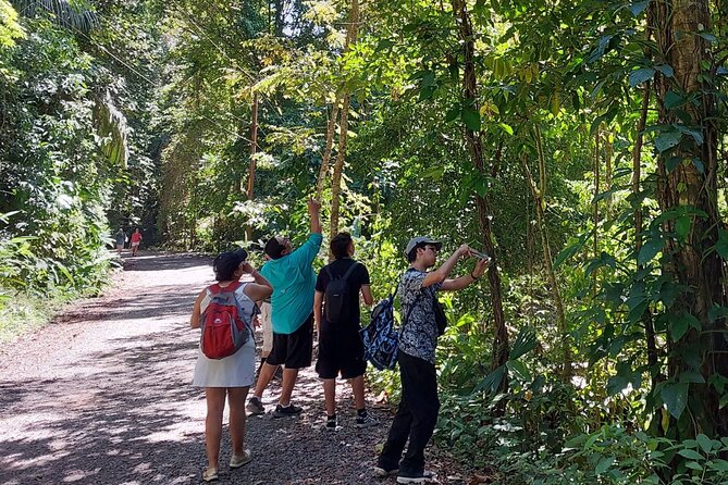 One Day Trip to Manuel Antonio National Park From San José - Park Regulations