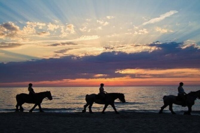 One Hour Horse Riding With Transfer From Hurghada - Traveler Guidelines