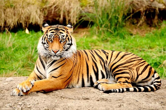 One-Way Private Transfer From Agra to Ranthambore - Cancellation Policy