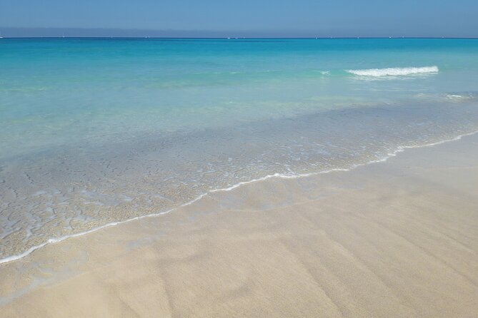 Orange Bay Island Full-Day Including Snorkelling - Lunch - Logistics and Policies