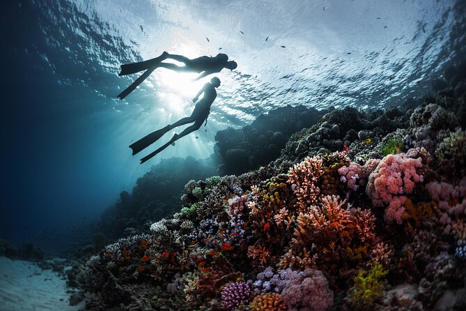 Orange Island Scuba Diving and Snorkeling Tour From Hurghada - Orange Island Location