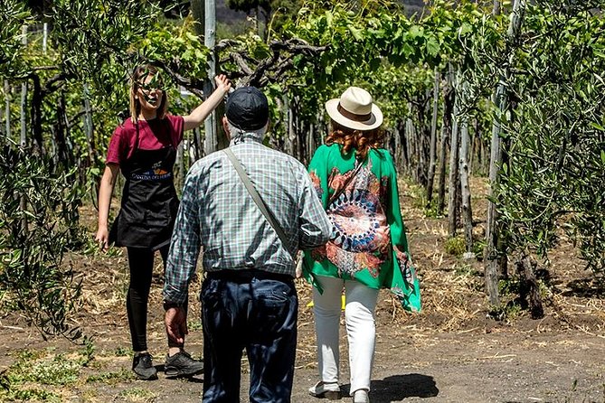 Organic Wine Tasting & Lunch on Vesuvius With Transfer From Amalfi Coast - Confirmation and Accessibility
