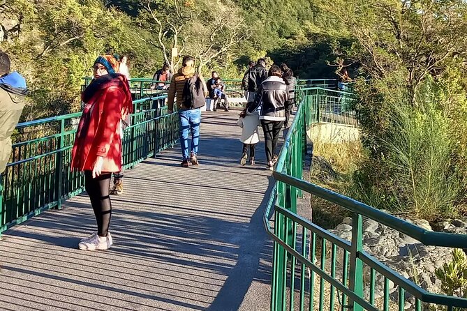 Osorno Volcano Tour + Petrohue Falls / Cruises / Spanish - Frequently Asked Questions
