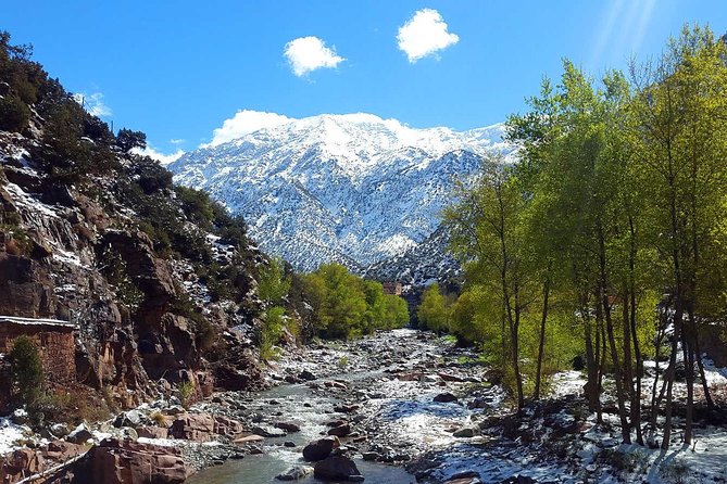 Ourika Valley, and Waterfall Tour From Marrakech With Lunch - Additional Considerations