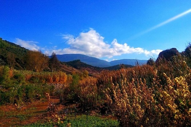 Ourika Valley Day Trip From Marrakech Private Day Tour - Pickup Details