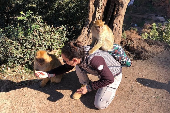 Ouzoud Waterfalls Day Trip Excursion From Marrakech - Traveler Restrictions and Recommendations