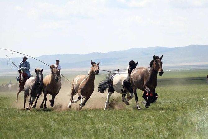 Overnight Semi-Gobi Tour With Nomadic Homestay