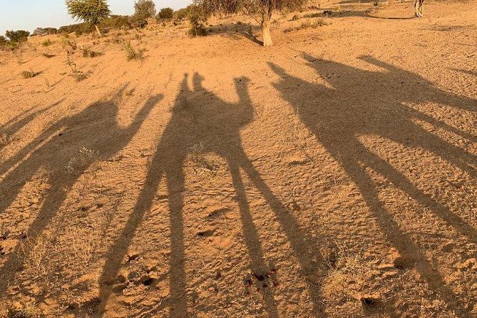 Overnight Stay In Desert With Camel Safari - Cancellation Policy