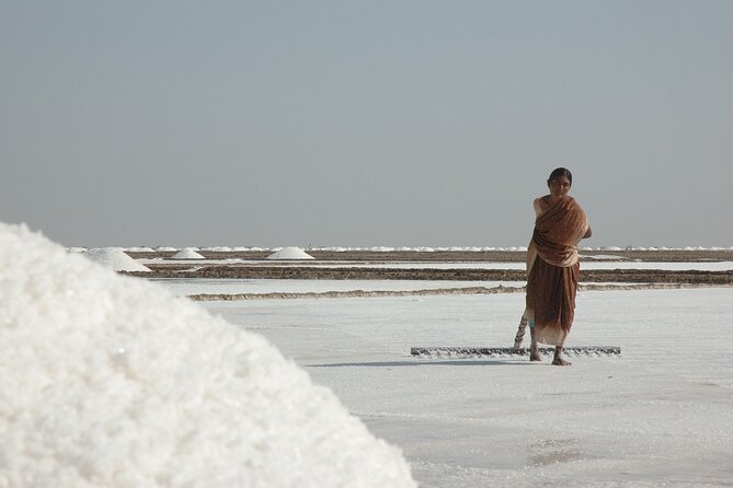 Overnight Trip To Little Rann Of Kutch From Ahmedabad - Morning Exploration