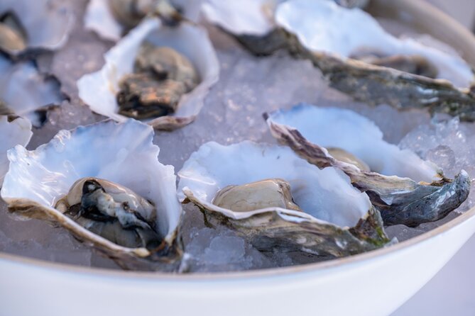 Oysters and Bubbles Sailing Experience in Vilamoura - Start Time and Additional Info