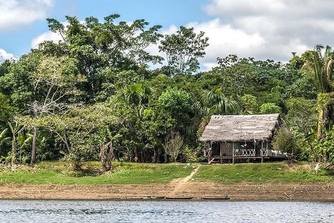 Pacaya Samiria National Park From Tarapoto 5 Days and 4 Nights - Health and Safety Considerations
