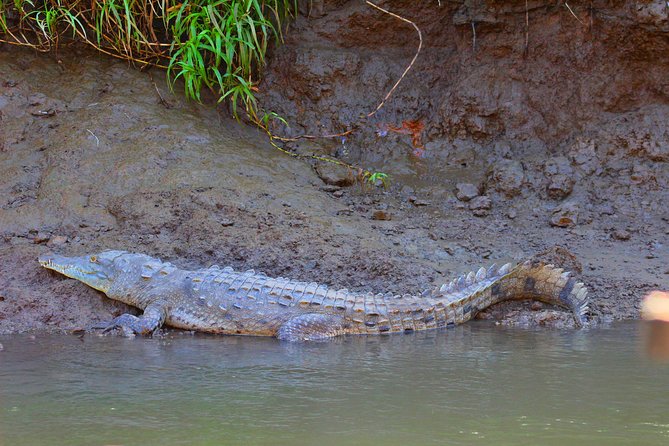 Palo Verde RiverRide From Guanacaste - The Sum Up