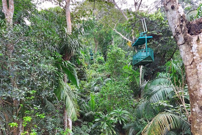 Panamanian Adventure With Cable Cars and Sloth Sanctuary - Cable Car Journey