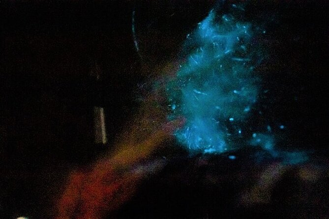 Paquera Bioluminescence Tour by Kayak - Meeting Point