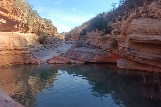 Paradise Valley Half Day - Accessibility