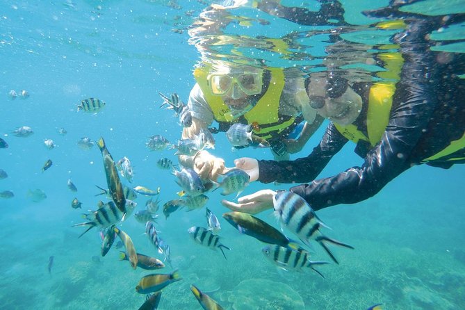 Perhentian Island Free & Easy With Snorkeling Trips 3D2N - Cancellation Policy