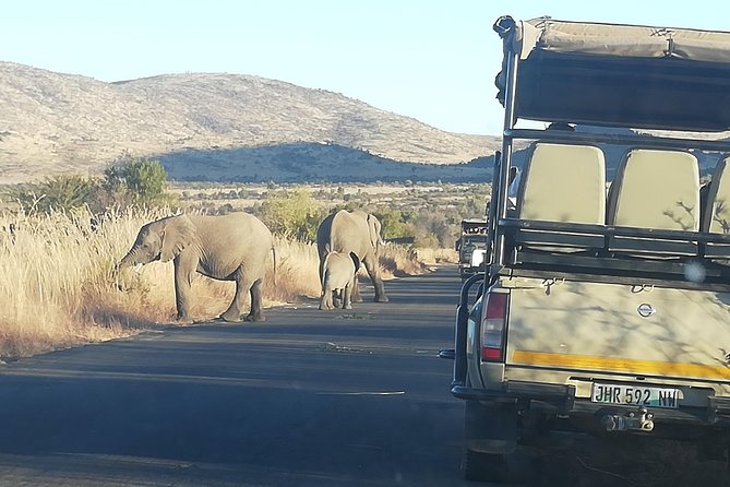 Pilanesberg Safari 3 Days - Booking Process