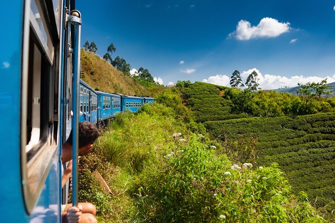 Pinnawela, Kandy & Tea Highlands 2 Days Tour - Cancellation Policy