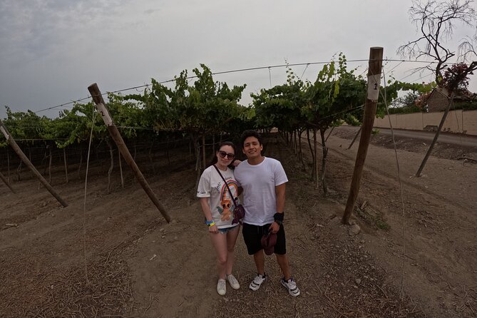 Pisco and Wine Route From Puerto San Martín - Paracas - Booking Information