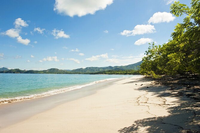 Playa Conchal & Flamingo From Liberia Airport, Transfer Service - Booking Process