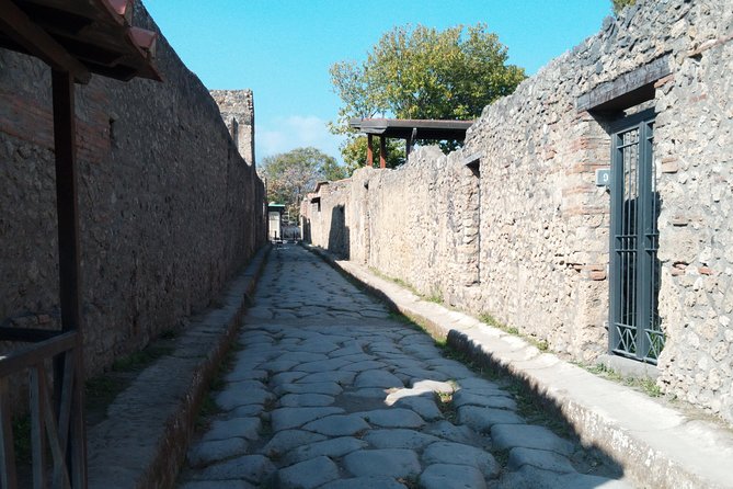 Pompeii and Herculaneum Skip-The-Line With Lunch and Wine Tasting From Rome - Accessibility Information