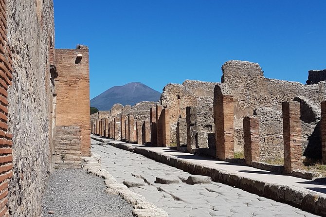 Pompeii and Herculaneum Walking Tour Led by an Archaeologist - Guide Information