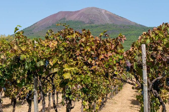 Pompeii and Mount Vesuvius Wine Tasting Private Tour From Amalfi - Meeting Point Details