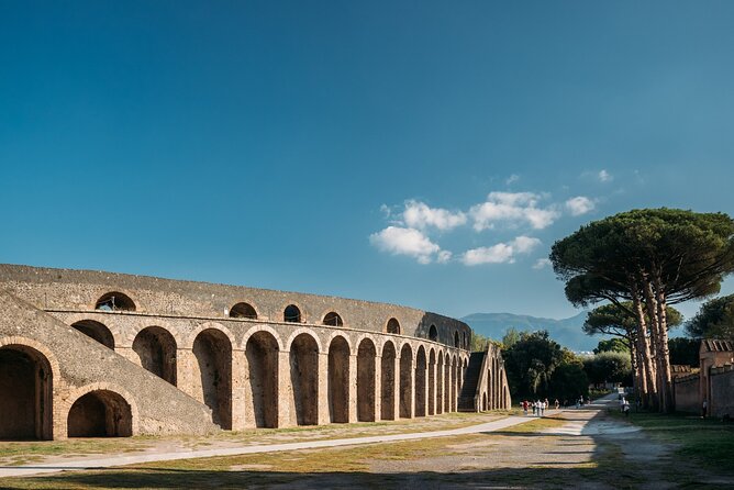 Pompeii Half Day With Transfer From Naples - Additional Information