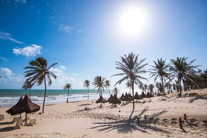 Portuguese Classes in Brazil - Pricing and Refund Policy