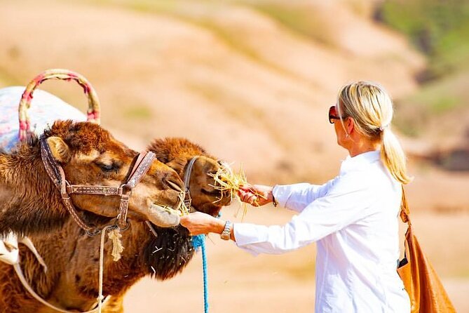 Premium Agafay Desert & Berber Villages With Camel Safari Including Lunch - How to Get There