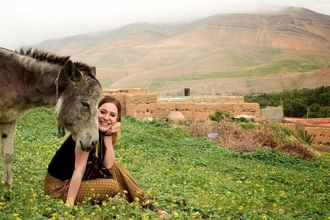 Premium Full-Day Tour To Atlas Mountains & The Berber Villages - Pickup Points