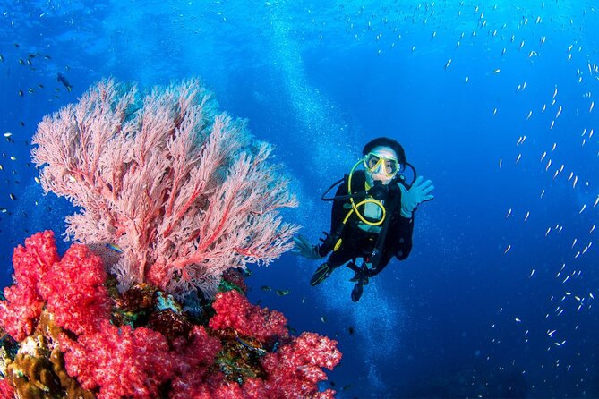 Premium Non Certified Beginner Scuba Diving in Racha Yai/Noi - Additional Information