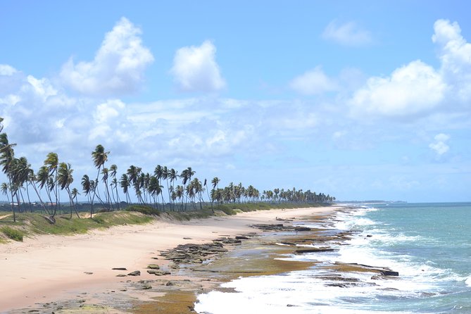 Privat Trasport Praia Do Forte to Salvador Airport Deutsch and Englsich Driver - Location Information