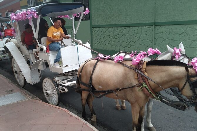 Private 1-Day Tour To Nicaragua From Flamingo Guanacaste