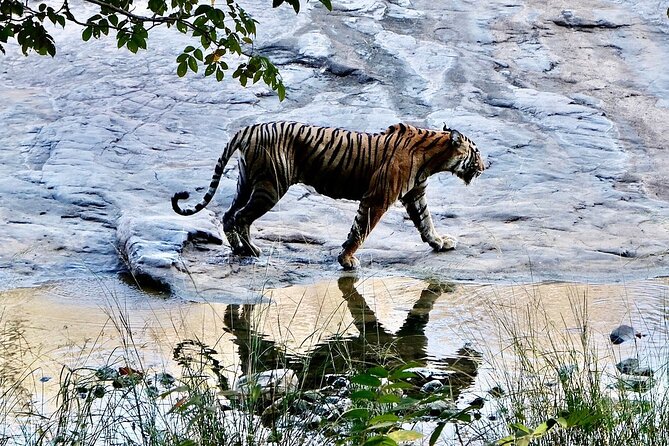Private 2-Day Jaipur Tour With Ranthambore Safari - Lowest Price Guarantee