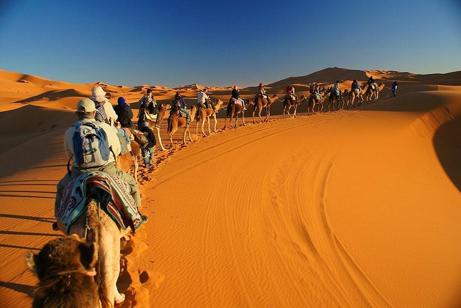 Private 5 Days Journey to the Golden Desert - Meal Plan