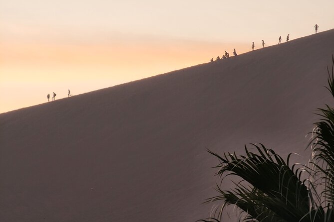 Private 8-Day Immersive Cultural Road Trip From Lima to Nazca - Transportation Logistics