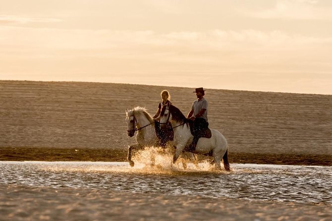 Private Alentejo Tour With Lunch and Horseback Ride Along Melides Beach - Important Information