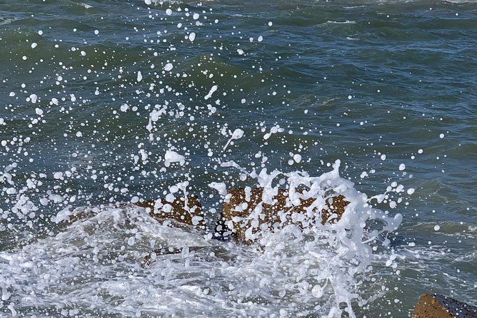 Private Alexandria Highlights Guided Day Tour - The Sum Up