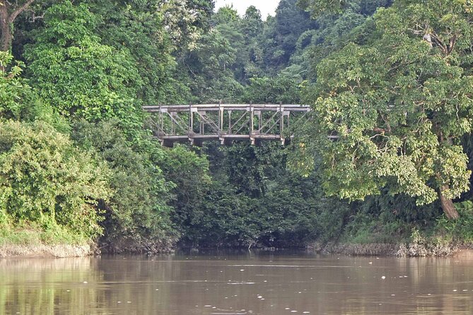 Private Assam Tea Estate, Rain Forest and River Island Tour - Pricing and Booking Information