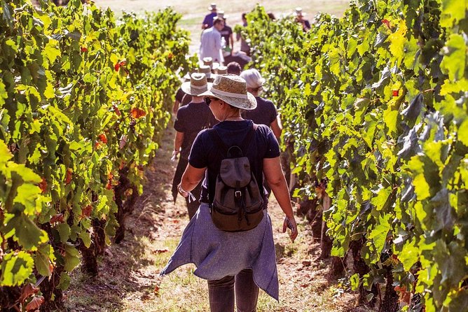 Private Athens Wine Tour For Dedicated Wine Lovers - Cancellation Policy