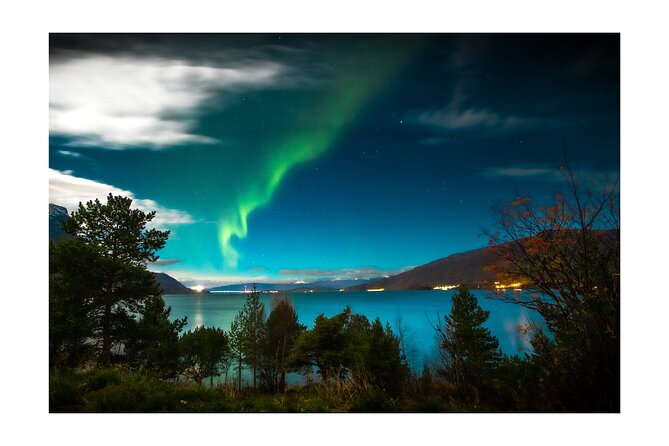 Private Aurora Borealis Tour Kiruna Abisko With Street Food - Important Details